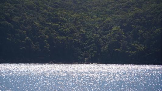 波光粼粼的湖泊美景