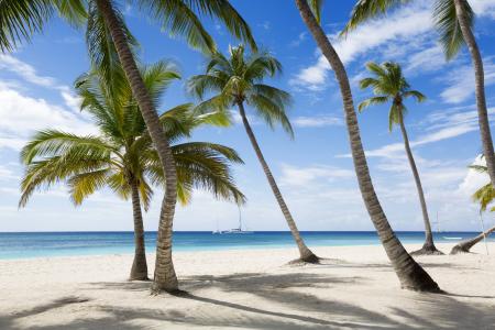 Jamaika,5k,4k壁纸,加勒比海,沙滩,棕榈树,天空,旅游,旅游（水平）