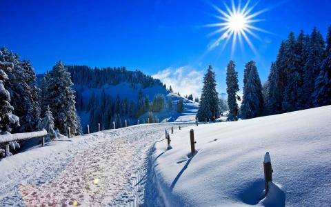 阳光灿烂的日子,冬天,积雪覆盖,松树,路径,4 k