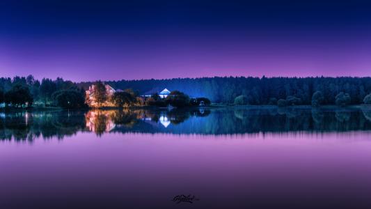 紫色的思考,湖,度假村,森林,高清,5K