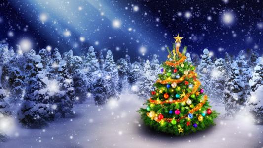 圣诞树,云杉树,装饰,降雪,5K