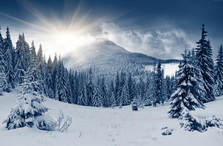 冬季森林,5k,4k壁纸,山,太阳,雪,枞树（水平）