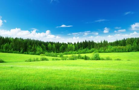 绿草,厚厚的森林,蓝蓝的天空,
