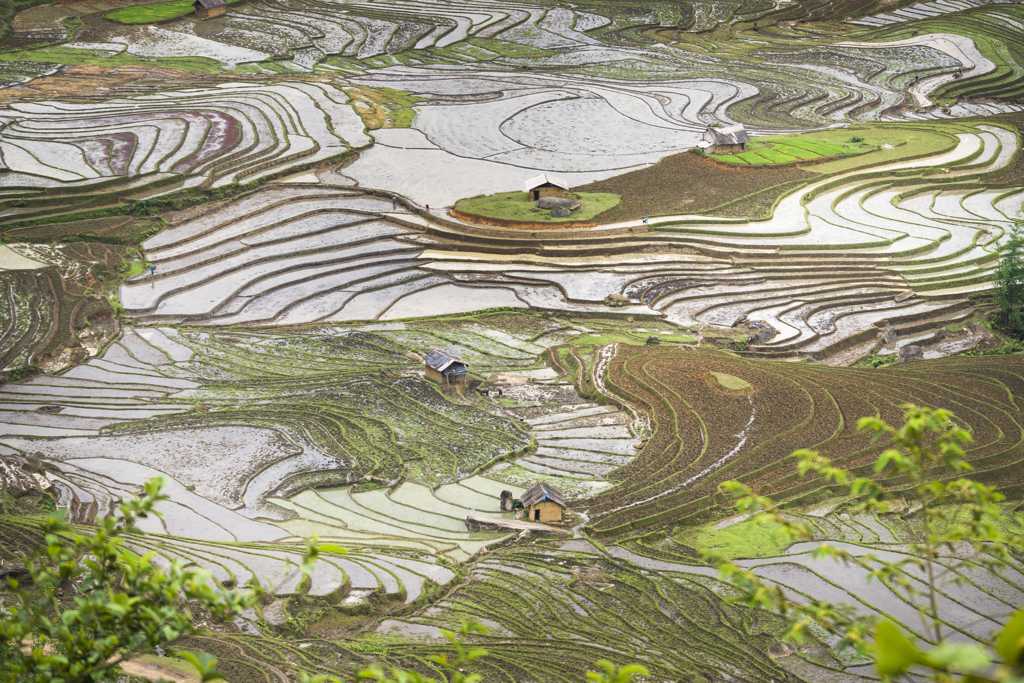 越南乡村田园景色图片