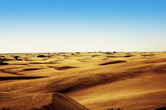 热带大漠气候图片