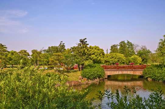 上海边江树林公园景致图片