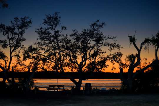 河边夕阳树木剪影图片