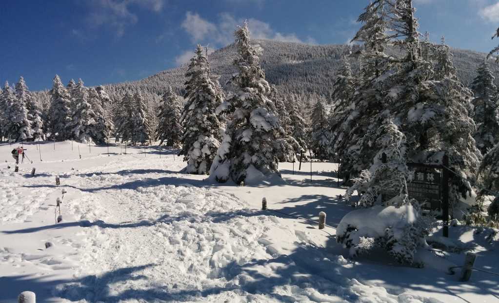 冬季高山雪地景物图片