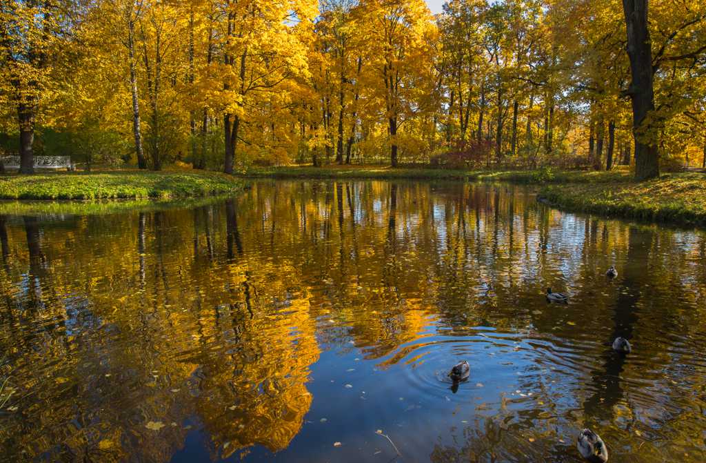 俄罗斯园林园林唯美秋日风光