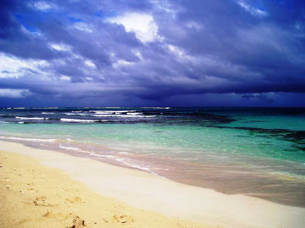 热带沙滩景象图片