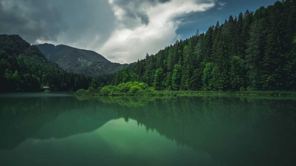 树林湖水景观图片