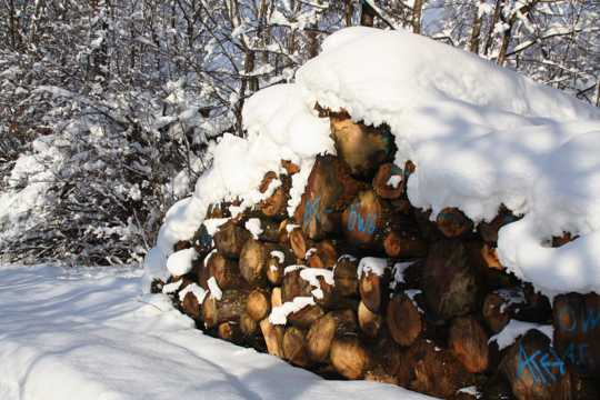 冬日雪地木柴堆图片