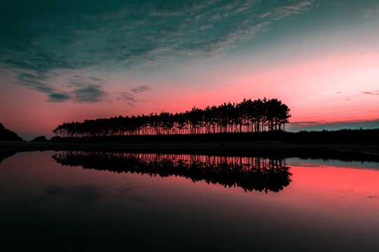 日落湖面树木剪影图片