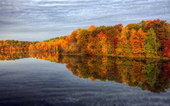 秋天的树林湖泊图片