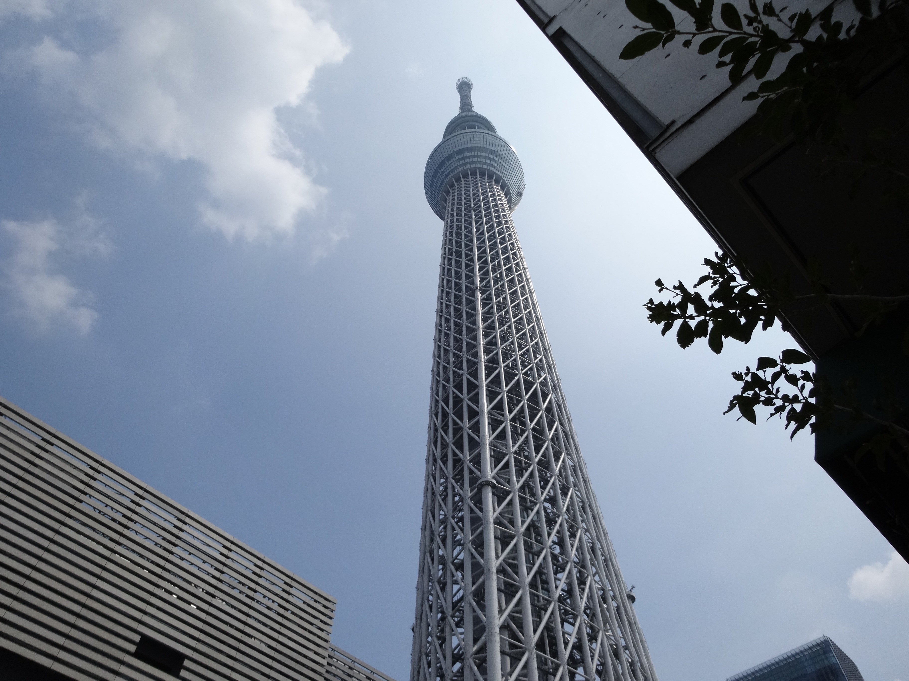 日本东京塔景色图片 图片 壁纸 桌酷