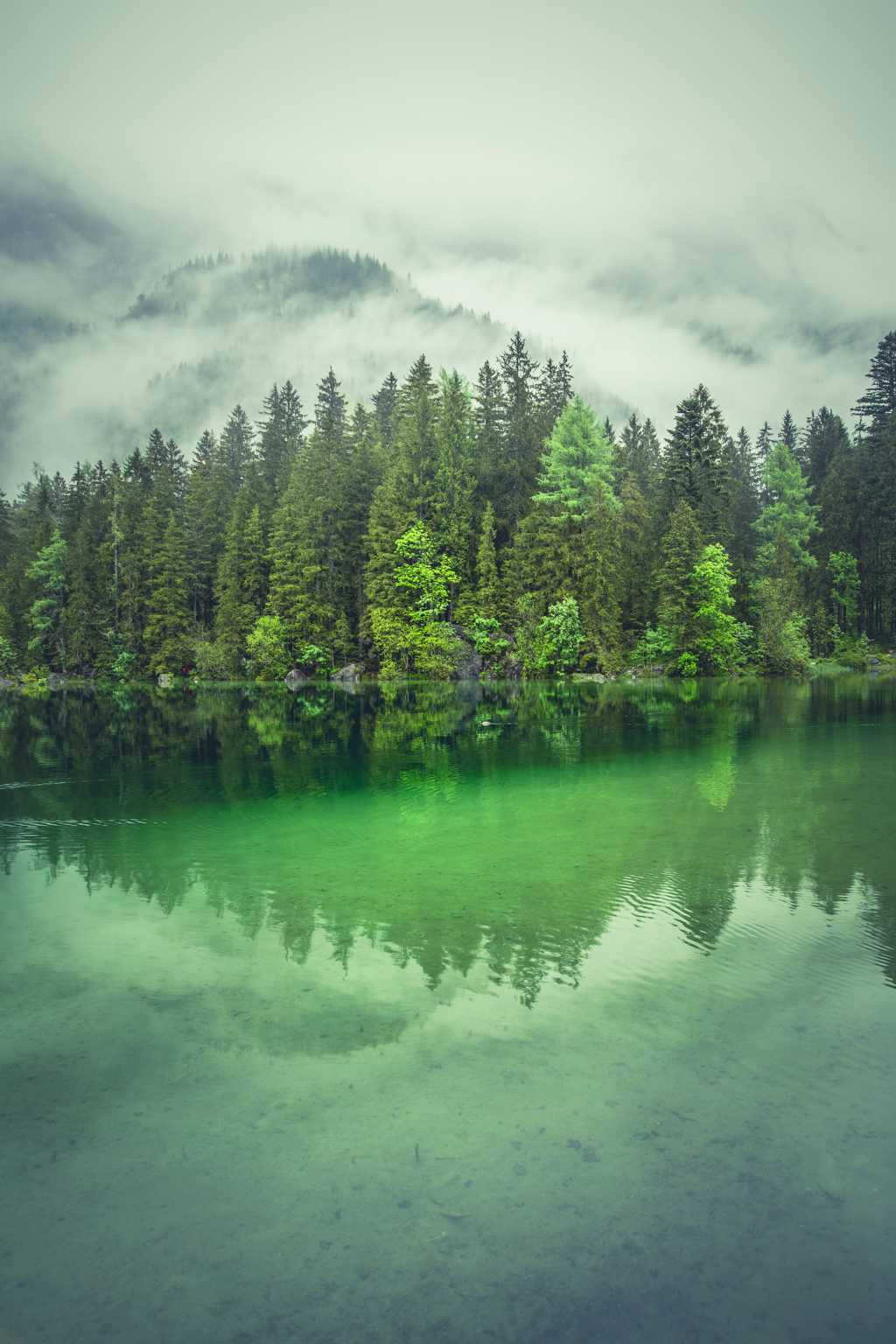 绿色湖水唯美景致图片