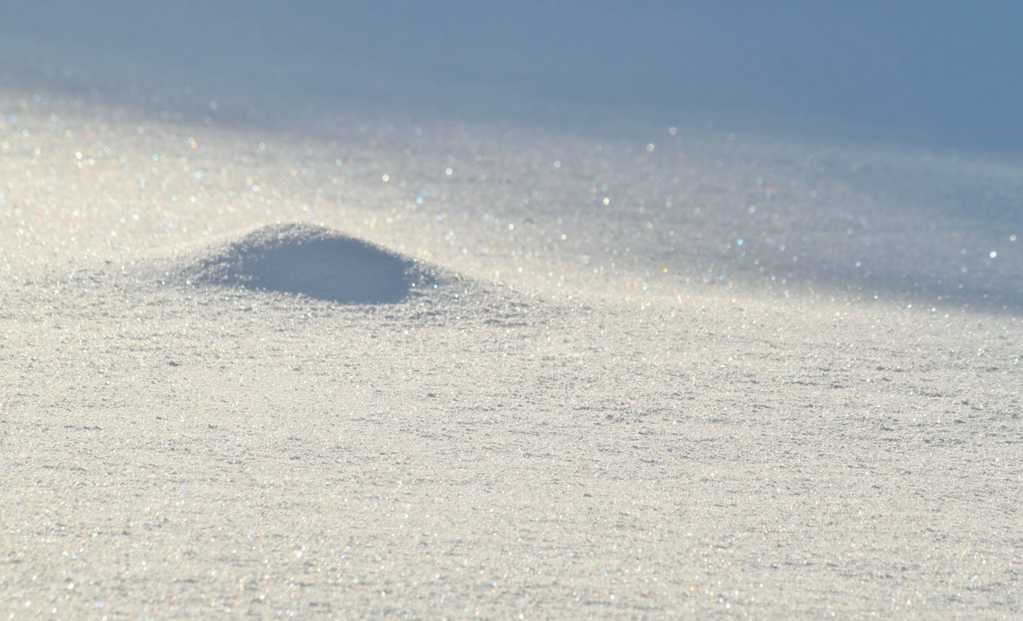 白皑皑的雪地图片