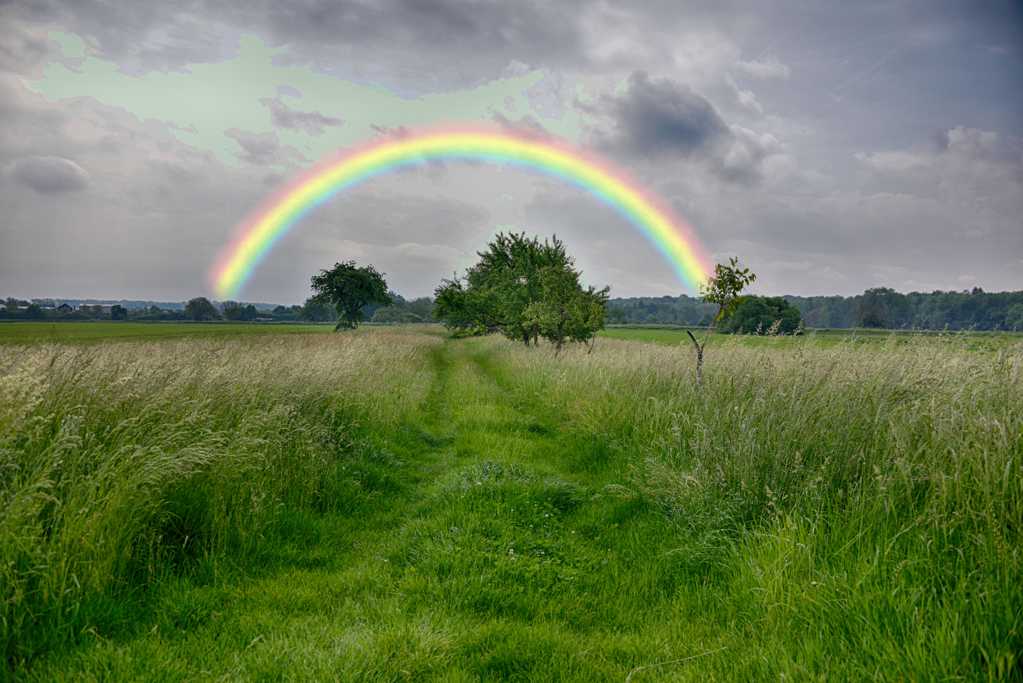 草坪彩虹天空风光图片