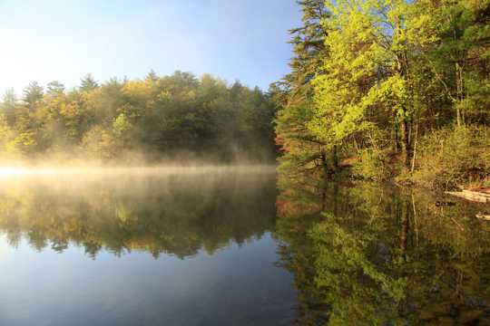 水雾缭绕的山林湖泊
