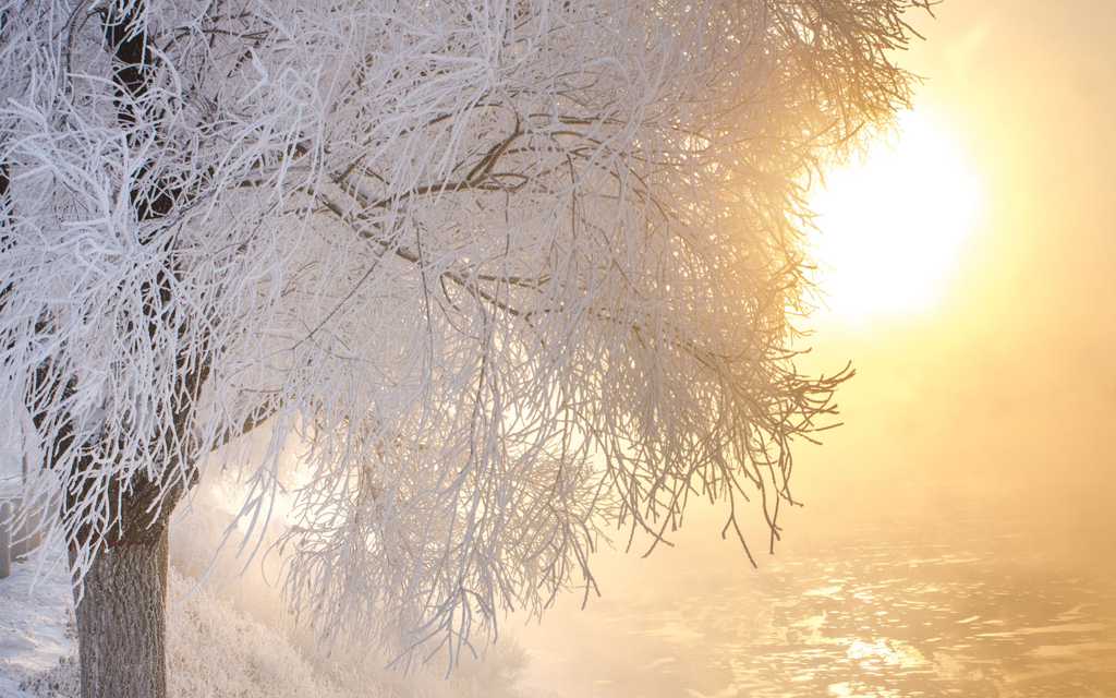 晨曦中的冬日雪景