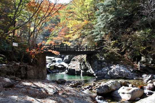 秋日山涧溪流图片