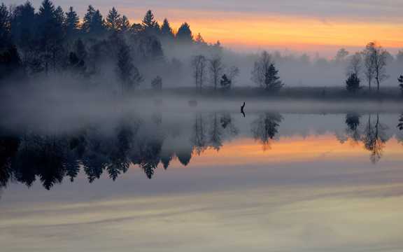 冬日早晨水雾笼罩的森林湖泊