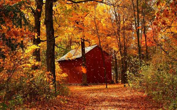 秋季美景景致图片