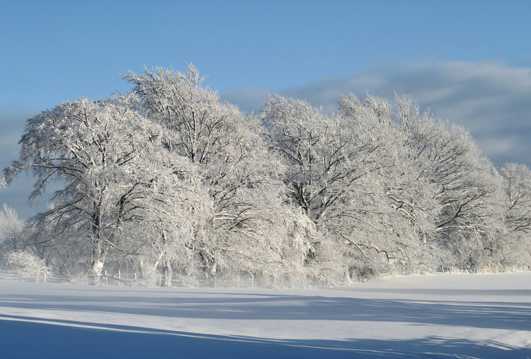 唯美的冬日雪景