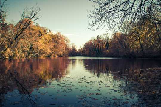 秋天的湖边景物图片