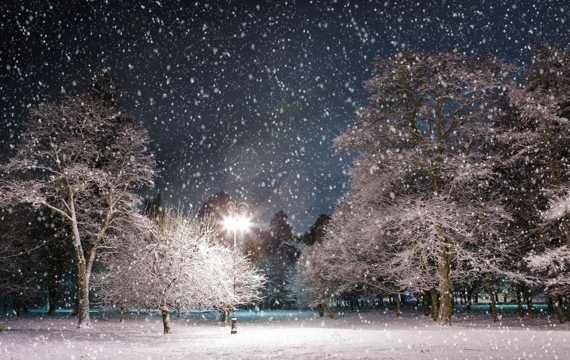 下雪的夜晚图片