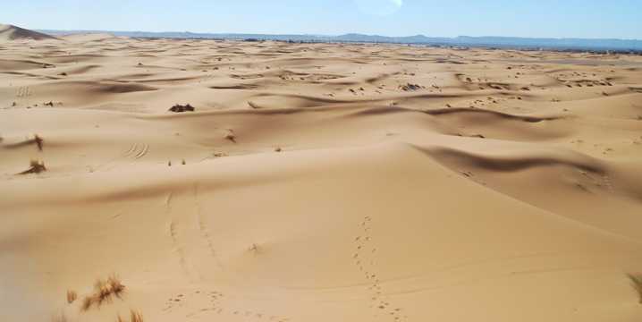 广袤无垠的沙漠图片