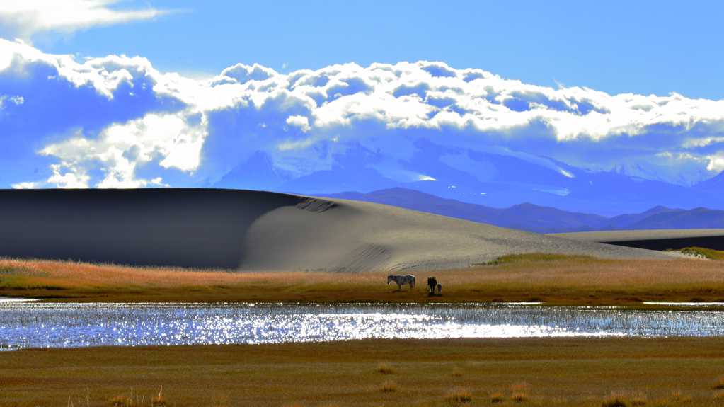 西藏帕羊景致图片