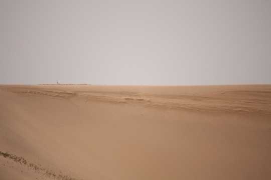 大漠景物图片