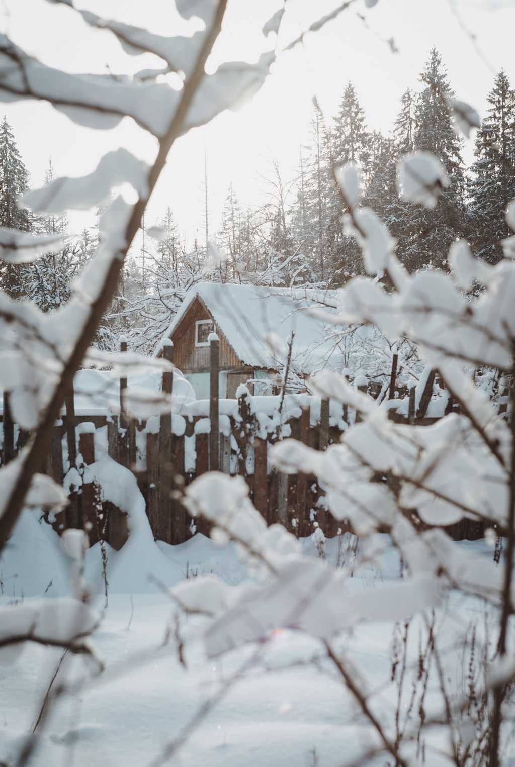 冬天雪屋雪景图片