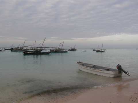 烟台桑岛海豚湾的清晨风景图片