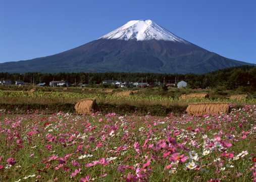 日本富士山春日风光图片