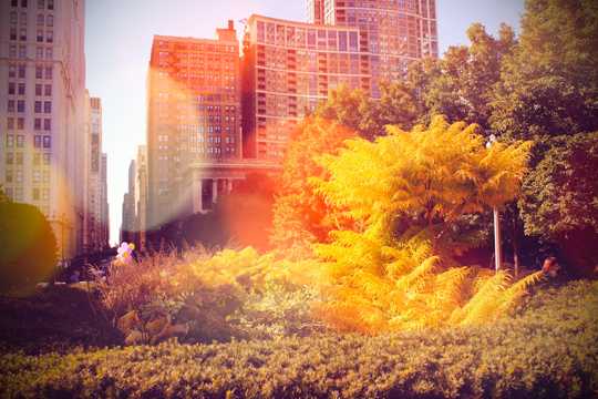 秋季城市风光图片