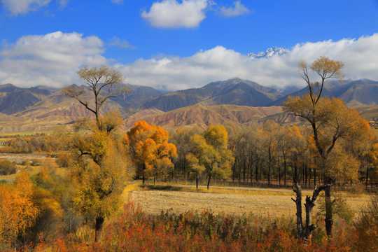 青海黑河大峡谷的秋季光景
