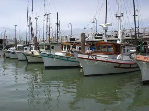 美国旧金山渔人码头光景
