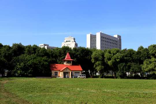 黑龙江哈尔滨东北林业大学景象图片