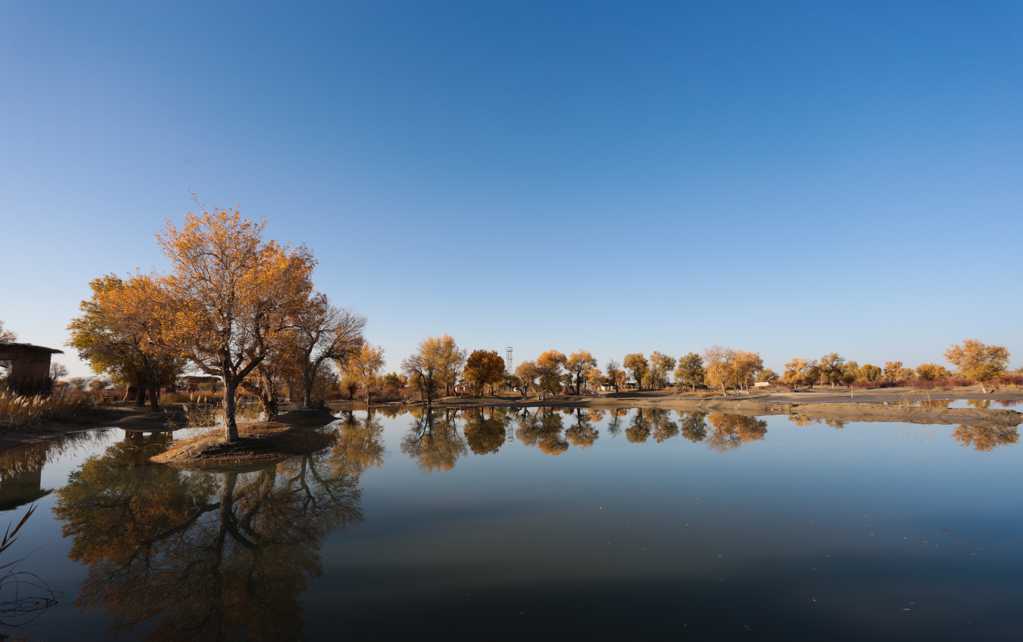新疆库尔勒罗布泊自然景物图片