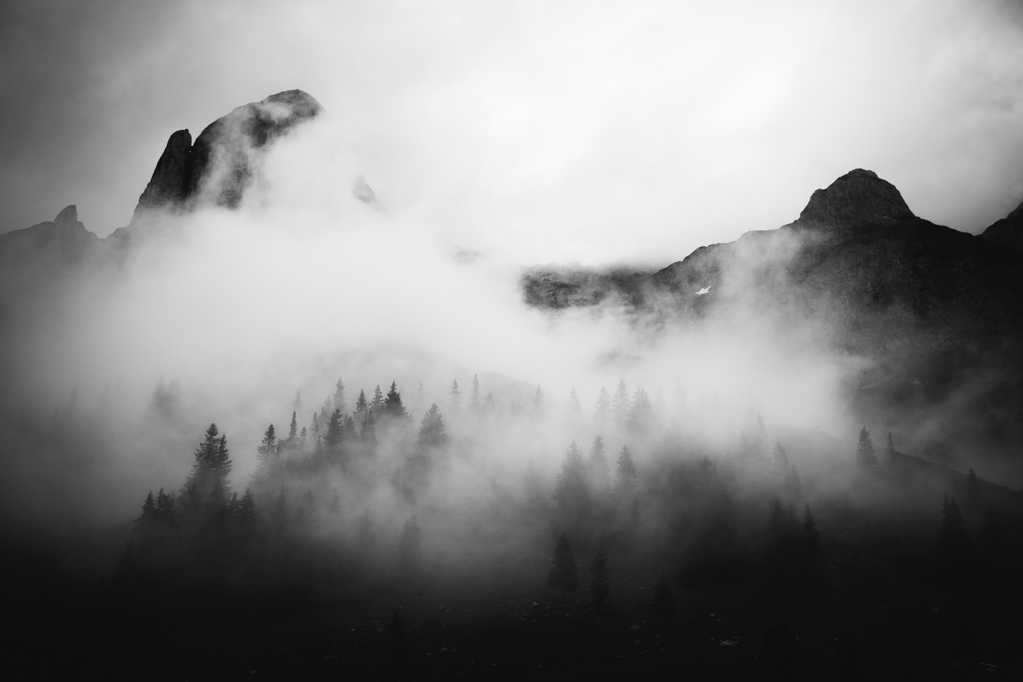 云雾笼罩的山林