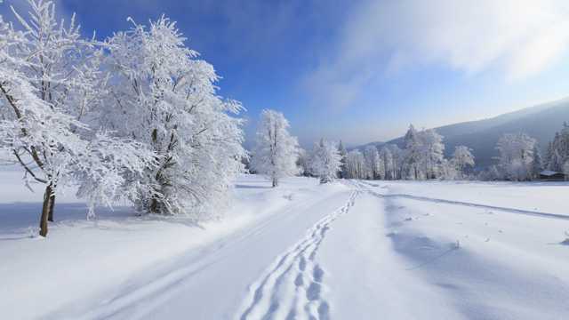 暴雪纷飞的冬天美景图片