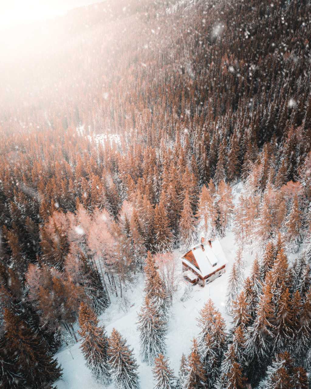 冬天的丛林小木屋
