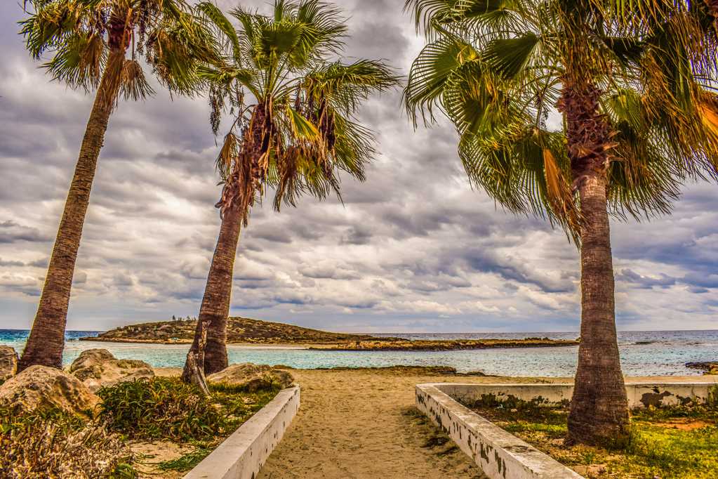 塞浦路斯沙滩棕榈树图片