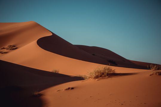 荒芜的大漠图片