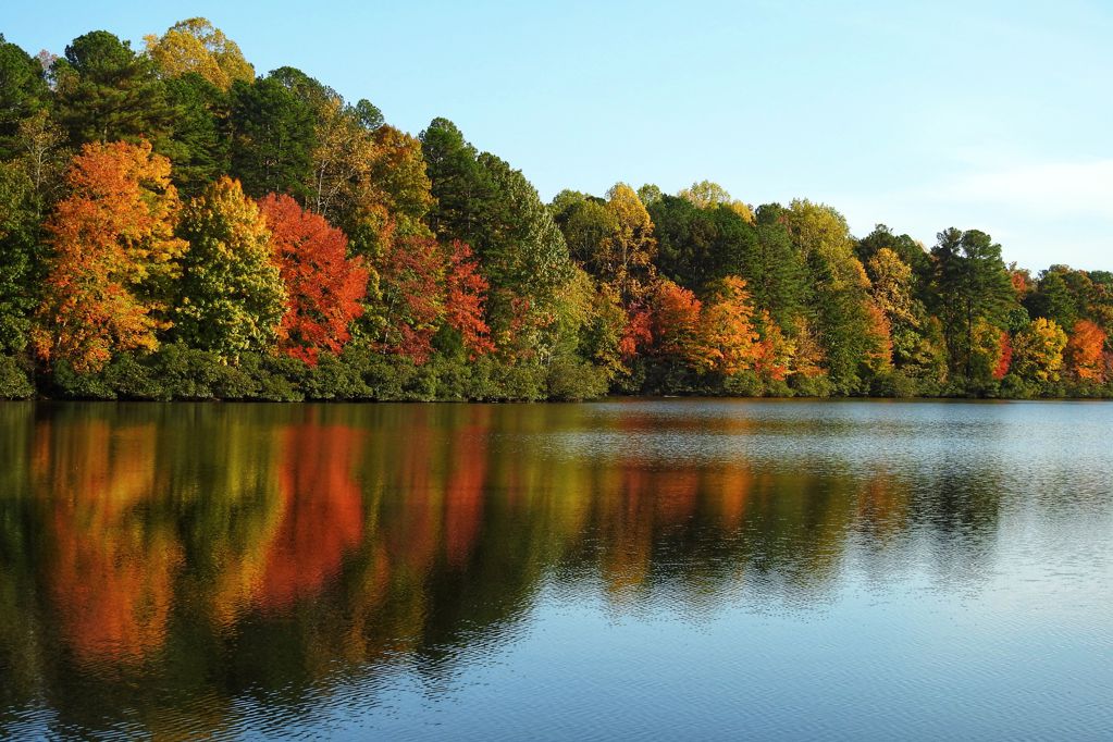 秋天湖泊树林景观图片