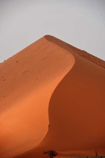 荒漠沙堆特写图片