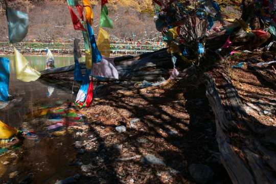 西藏卓玛拉措光景图片