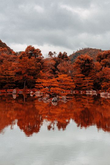 秋季红色森林倒影图片